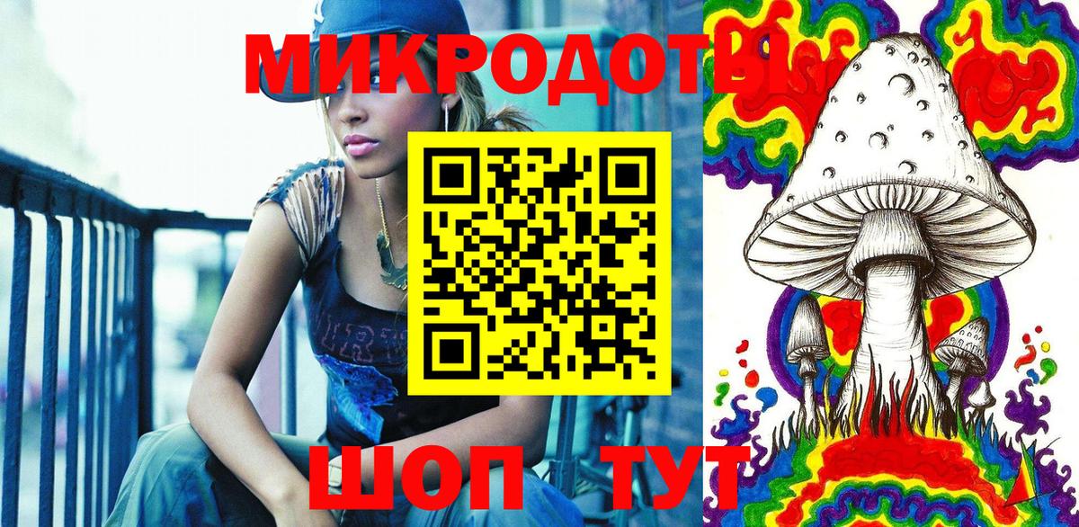 Псилоцибиновые грибы Psilocybe Новоалтайск